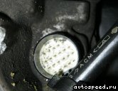 �������� NISSAN Murano (Z50): ���� �8