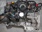 ��������� JAGUAR 9E-PCNA: ���� �2
