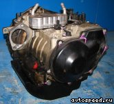 ���� VOLKSWAGEN (VW) Bora, New Beetle, Golf (ECP): ���� �4