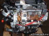 ��������� VOLKSWAGEN (VW) BKD, BKP, CBAA,CBAB,CBBB, CFFB, CFHC, CBEA, CBDB, CJAA: ���� �8