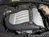 ��������� VOLKSWAGEN (VW) Passat B6 (3B3), 2000-2005: ���� �7