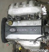 ��������� KIA FE (Clarus): ���� �1