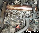 ��������� VOLKSWAGEN (VW) 1Y: ���� �1