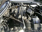 ��������� FORD 5.8l. 351 CID, Cobra R Windsor V8: ���� �1