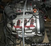 Двигатель AUDI AVK: фото №3