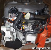 ��������� VOLKSWAGEN (VW) AWX: ���� �5