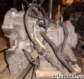 ���� MAZDA MPV (LW3W), 2WD: ���� �3