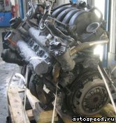 ��������� VOLKSWAGEN (VW) BLF: ���� �4