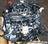 ��������� VOLKSWAGEN (VW) BKD, BKP, CBAA,CBAB,CBBB, CFFB, CFHC, CBEA, CBDB, CJAA: ���� �4