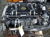  FORD FIFA:  1