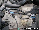 ���� VOLKSWAGEN (VW) Passat  (DMU): ���� �5