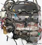 ��������� FORD 4.6l. Modular SOHC V8 (Explorer), 4V: ���� �5