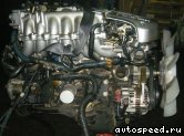 ��������� NISSAN RB25DET (R34): ���� �2