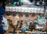 ��������� KIA L7: ���� �5