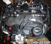 ��������� VOLKSWAGEN (VW) BKD, BKP, CBAA,CBAB,CBBB, CFFB, CFHC, CBEA, CBDB, CJAA: ���� �6