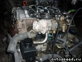  SSANG YONG D20DT (664951):  5