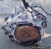�������� HONDA Odyssey (RB1): ���� �3