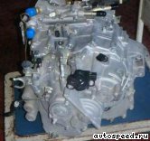 ���� HONDA Life (JB5): ���� �1