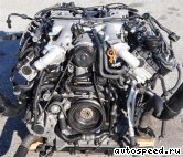 ��������� AUDI BTR, CCFA: ���� �1