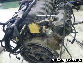 ��������� MERCEDES BENZ 113.982 (AMG): ���� �2