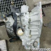 ���� NISSAN Bluebird  Sylphy (G11), Tiida (C11), Wingroad (Y12): ���� �3