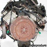 ��������� FORD 4.6l. Modular SOHC V8 (Explorer), 4V: ���� �2