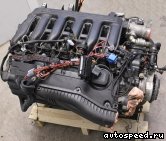 Двигатель BMW M57N (306D2): фото №4