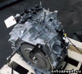 �������� HONDA Freed Hybrid (GP3): ���� �4