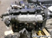 ��������� PEUGEOT RHY (DW10TD): ���� �6