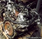 ��������� JEEP 3.0 L 642.980 (EXL): ���� �1