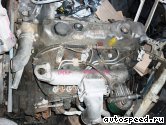 ��������� HYUNDAI D4AF: ���� �3