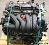 ��������� VOLKSWAGEN (VW) BLX, BLY, BVX (4WD): ���� �2