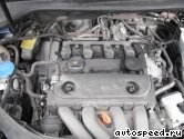 ��������� VOLKSWAGEN (VW) BLX, BLY, BVX (4WD): ���� �1