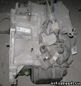 ���� OPEL Vectra C, Signum Z22SE, Z22YH, JC: ���� �4