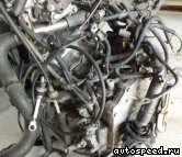 ���� TOYOTA Alphard (MNH10), U140E: ���� �1