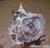 ���� FORD Focus (C9DA, C9DB, C9DC): ���� �2