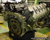 ��������� PORSCHE M48.00 Cayenne (955): ���� �7