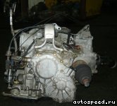 ���� NISSAN Rnessa (PNN30): ���� �1