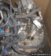 ���� PEUGEOT 206 (NFU): ���� �2