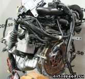 ��������� VOLKSWAGEN (VW) BGW, BHW: ���� �3