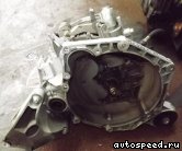 ���� OPEL Vectra C (Z19DTH): ���� �1