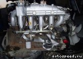 ��������� NISSAN TB45E (Y61): ���� �6