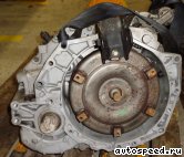 ���� KIA Carnival (K5): ���� �1
