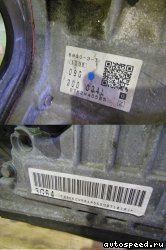 ���� VOLKSWAGEN (VW) Passat (JYY, KGV): ���� �4