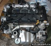 ��������� KIA J3: ���� �15
