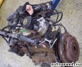 ��������� FORD J4C, J4J, J4L, J4Q, J4R, J4T: ���� �8