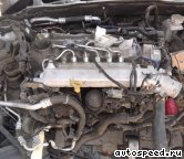 ��������� HYUNDAI D4FA: ���� �2