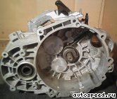 ���� VOLKSWAGEN (VW) Golf VI, Golf Plus (KRN): ���� �1