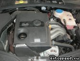 ��������� VOLKSWAGEN (VW) Passat B6 (3B3), 2000-2005: ���� �5