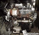 ��������� VOLKSWAGEN (VW) CBDC: ���� �2